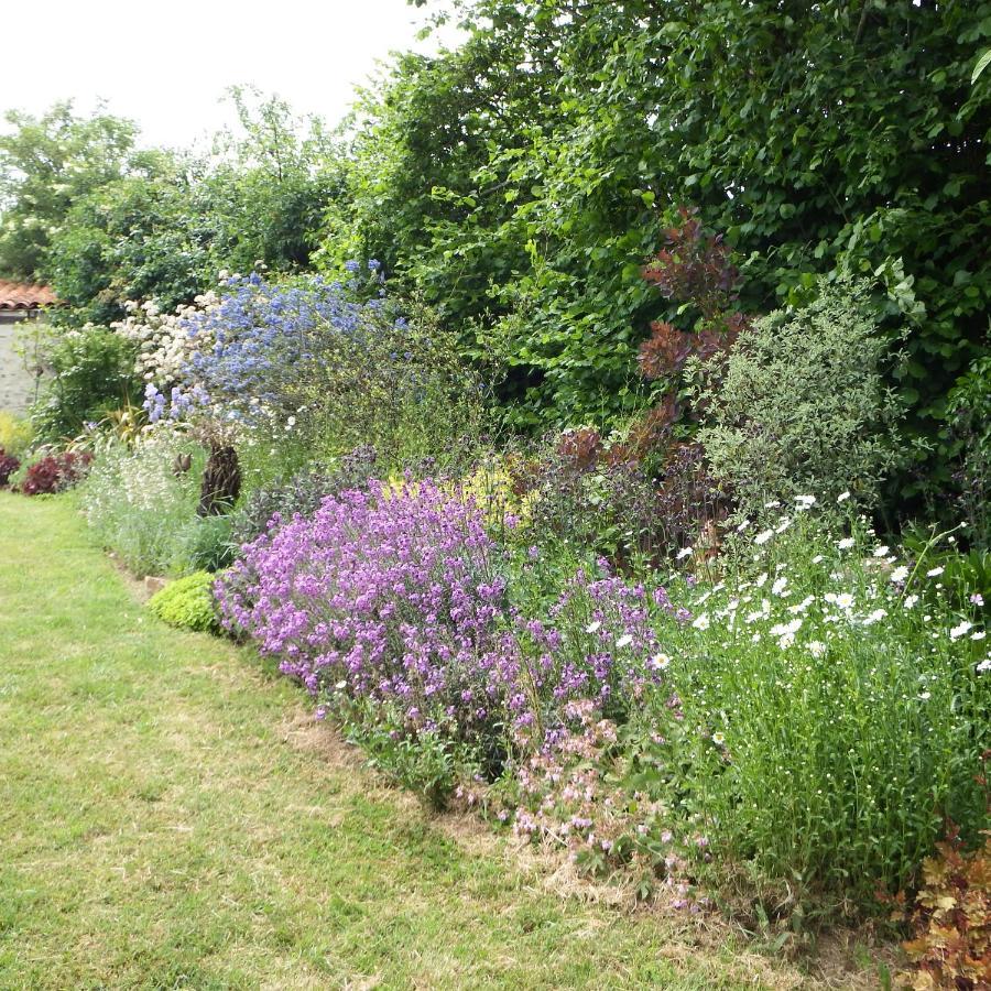 Bed and Breakfast Les Cerisiere Cheffois Exterior foto